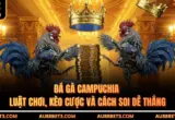 Đá Gà Campuchia - Luật Chơi, Kèo Cược Và Cách Soi Dễ Thắng