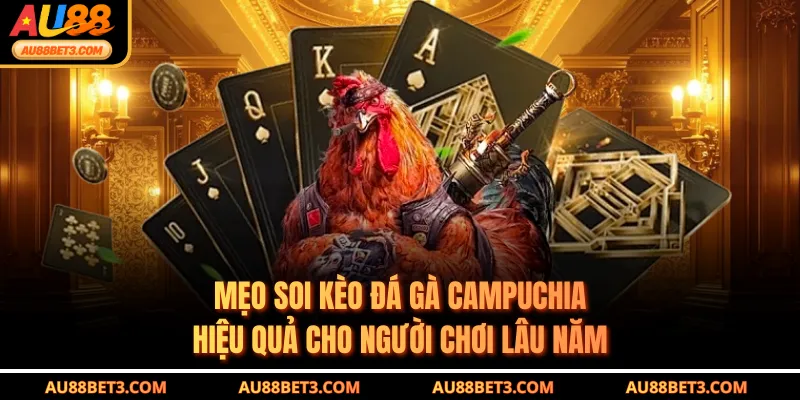 Mẹo soi kèo đá gà Campuchia hiệu quả cho người chơi lâu năm